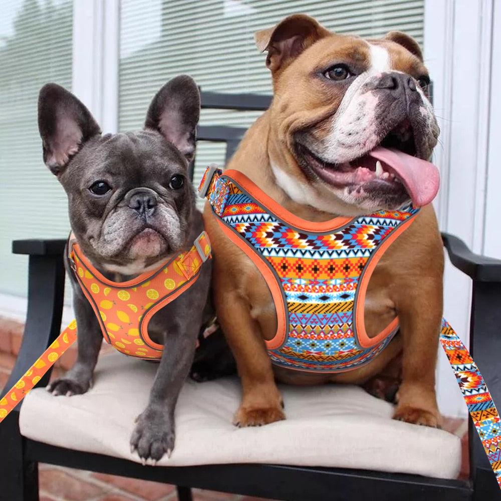 Reflective Nylon Dog Harness And Leash Set - Breathable Mesh No Pull Dog Vest Leash Fashion Printed French Bulldog Harness (3W1)(2W1)