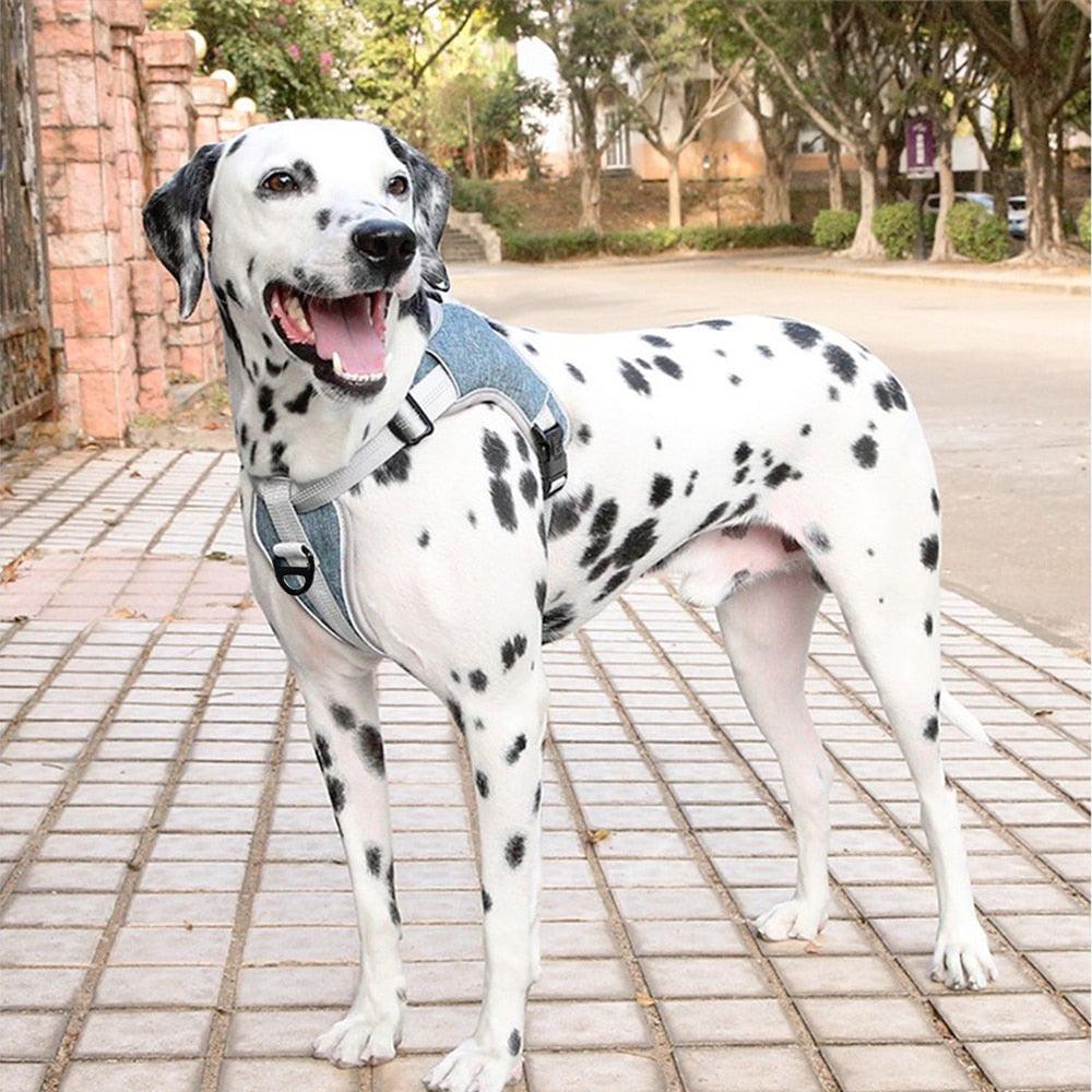 Great Reflective Pet Dog Harness Vest - Adjustable No Pull Medium Large Dog Harness Soft Mesh (D70)(3W1)