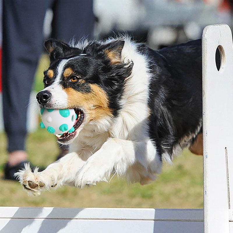 Rubber Dog Chew Toy Ball - Tooth Cleaning Bite Resistant Large Small Dogs Molar Interactive Training Toy (D73)(7W2)(6W2)(3W3)(1W3)