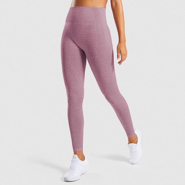 Gorgeous 2 Piece Sport Suit Set - Gym Women Fitness Clothes - Fitness Leggings And Top Tracksuit - Workout Women Set (2U24)
