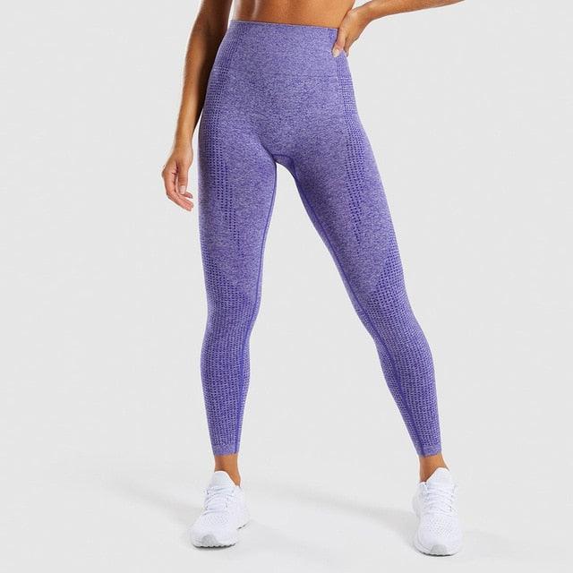 Gorgeous 2 Piece Sport Suit Set - Gym Women Fitness Clothes - Fitness Leggings And Top Tracksuit - Workout Women Set (2U24)
