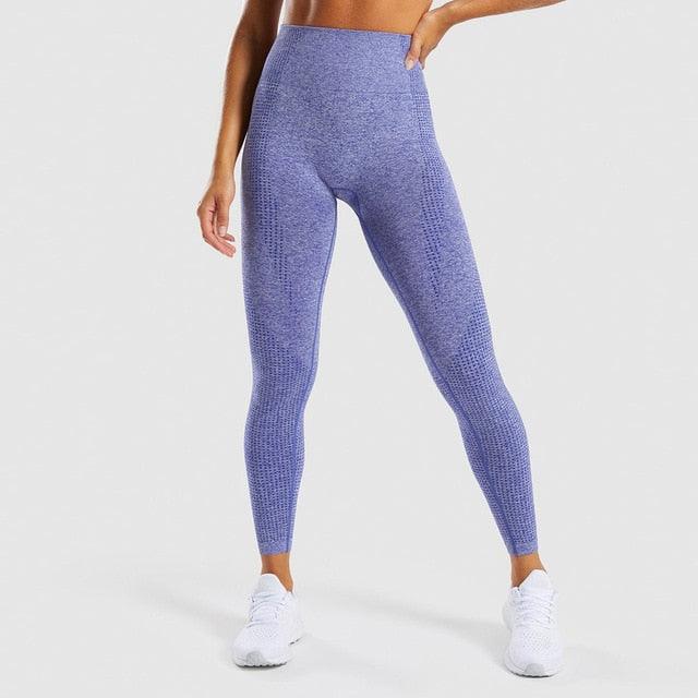 Gorgeous 2 Piece Sport Suit Set - Gym Women Fitness Clothes - Fitness Leggings And Top Tracksuit - Workout Women Set (2U24)