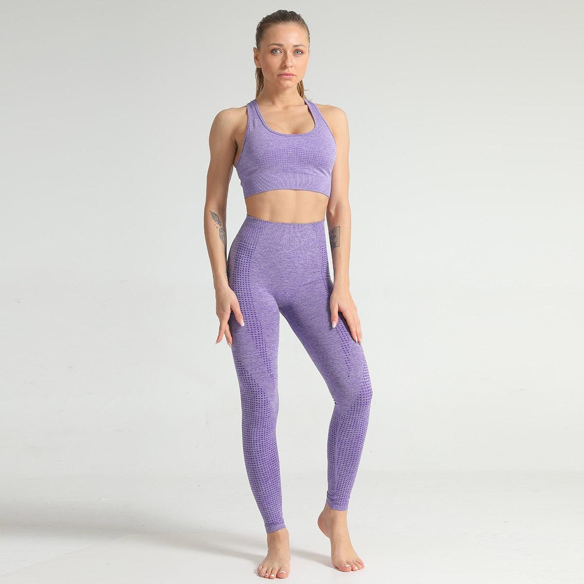Gorgeous 2 Piece Sport Suit Set - Gym Women Fitness Clothes - Fitness Leggings And Top Tracksuit - Workout Women Set (2U24)