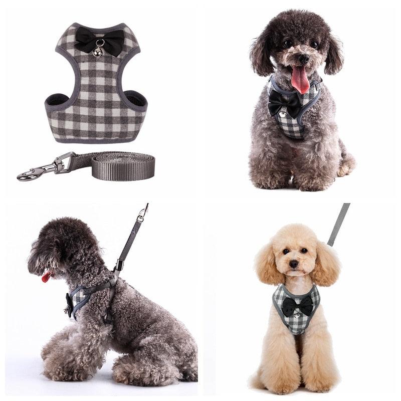 Small Dog Harness And Leash Set- Pet Cat Bowknot Vest Harness Mesh Padded Collar (2U70)