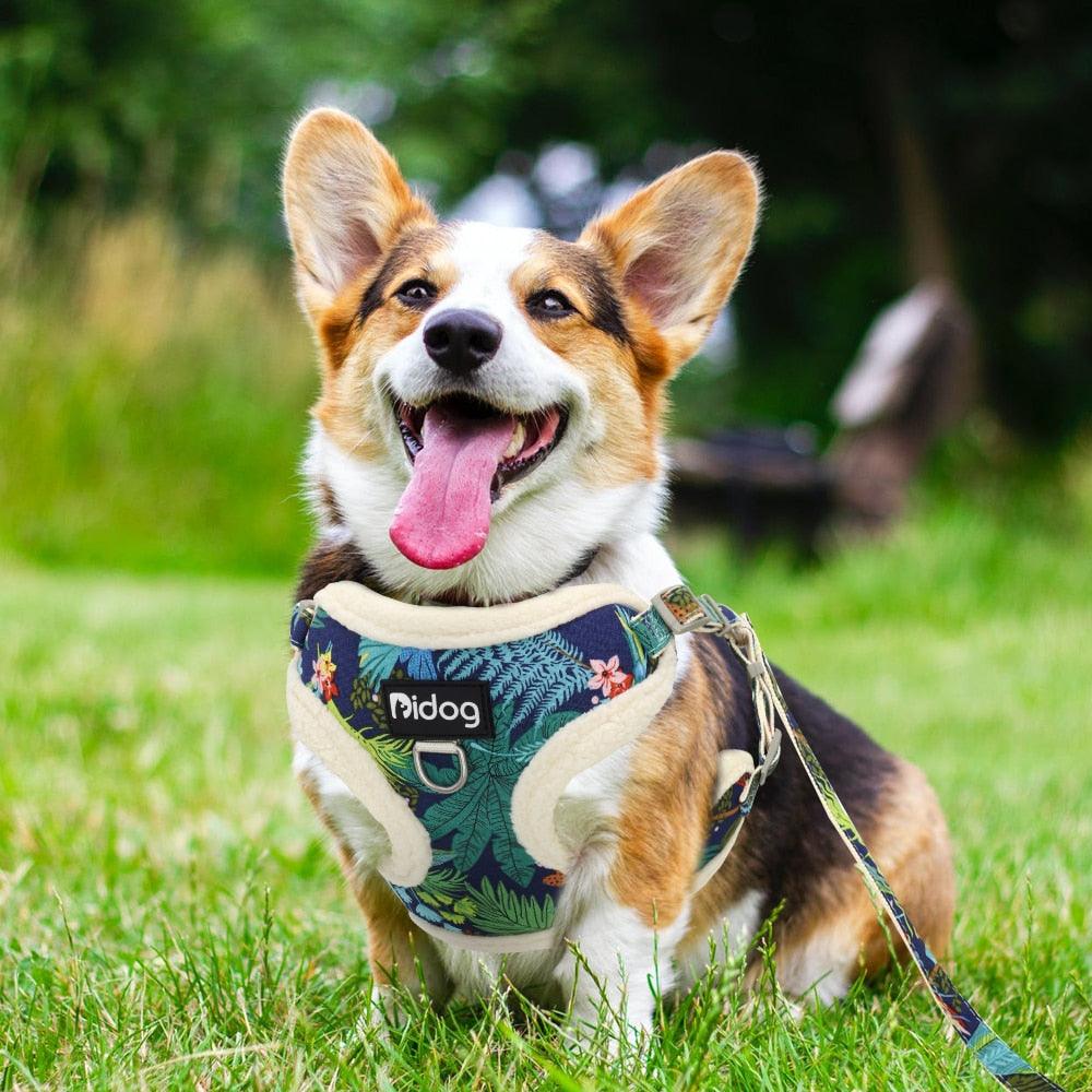 Soft Padded Mesh Harness Vest Leash For Small Dogs - Printed Puppy Cat Harness Walking Running Leash Rope (D70)(3W1)
