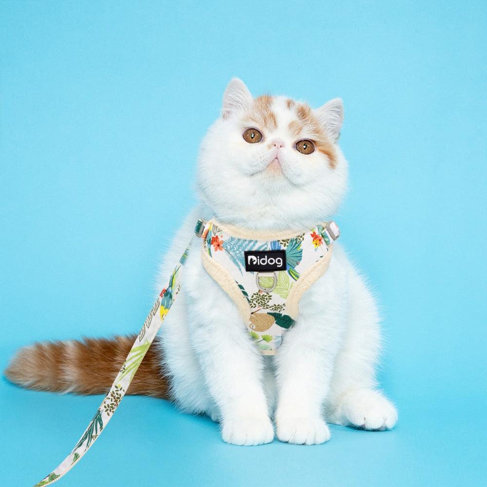 Soft Padded Mesh Harness Vest Leash For Small Dogs - Printed Puppy Cat Harness Walking Running Leash Rope (D70)(3W1)