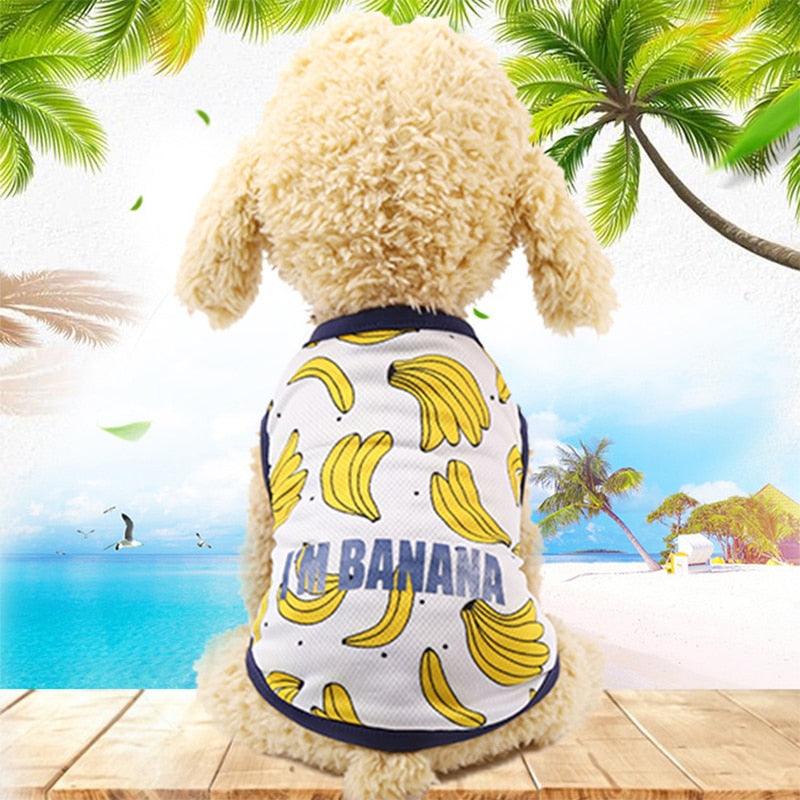 Summer Sports Dog Clothes - Small And Medium Dog Vest Comfortable Dog Shirts (W3)(F69)