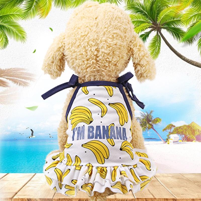 Summer Sports Dog Clothes - Small And Medium Dog Vest Comfortable Dog Shirts (W3)(F69)