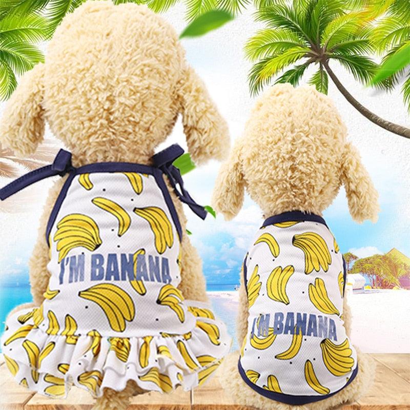 Summer Sports Dog Clothes - Small And Medium Dog Vest Comfortable Dog Shirts (W3)(F69)