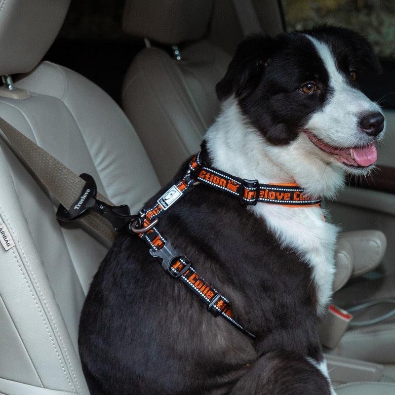 Vehicle Car Pet Dog Seat Belt Lock Harness Collar Clip - Safety Lightweight (5W1)(F70)