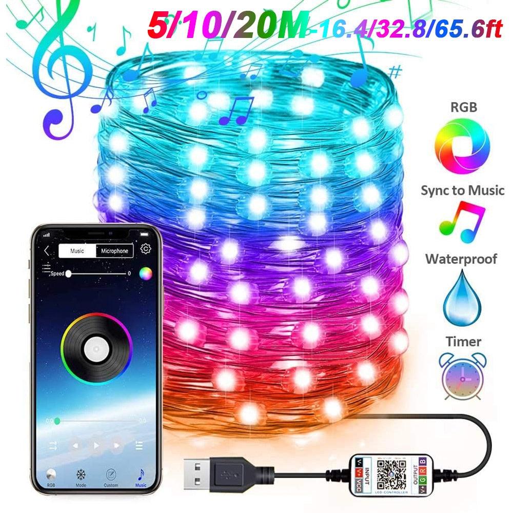 Great USB Copper Wire Lights Smart APP Bluetooth Control RGB Fairy String Light 5M/10M/20M High Quality 50-200LED Waterproof Lights (D58)(LL5)(1U58)