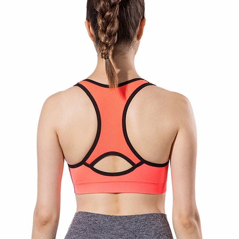 Amazing Shockproof Fitness Sports Bra - Padded Gather Push Up Breathable Bra - Sports Running Yoga Sports Tops (4Z2)(7Z2)