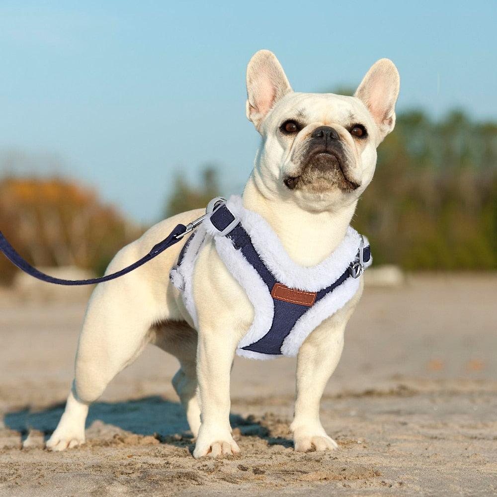 Winter Warm Dog Harness Leash Set - Soft Padded Dog Harness Vest - Pet Harness With Lead Leash (3W1)(2W1)(F70)