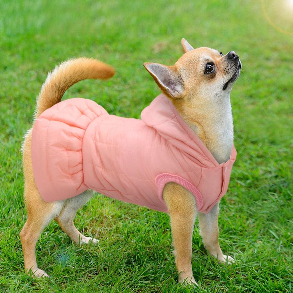 Winter Warm Pet Chihuahua Dog Clothes - Princess Dog Jacket Coat - Pet Clothing For Small Medium Dogs (W2)(W1)(F69)