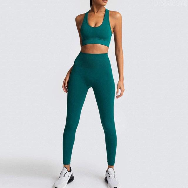 Cut Girls Seamless Women Gym Set - Sportswear 2 Piece Exercise Leggings Padded + Sports Bras - Women Sports Suits (D24)(BAP)(TBL)