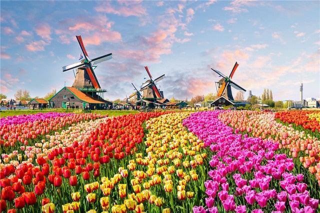 Amazing Puzzle - 500 Pieces - Mini Landscape Pattern - Pictures Adult Reduce Stress Puzzles - Children Puzzle Gifts - Educational Toys (7X2)