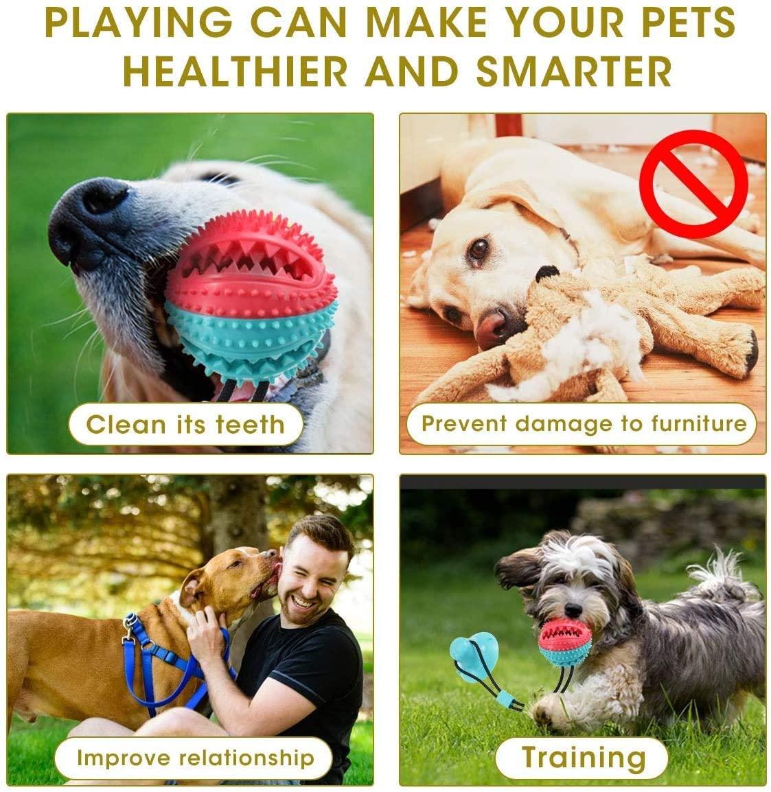 Suction Cup Tug Dog Toy - Push Elastic Ropes Pet Tooth Cleaning Chewing Playing IQ Treat Puppy Cats Toys (1U73)