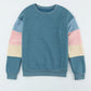 Color Block Ribbed Trim Sweatshirt