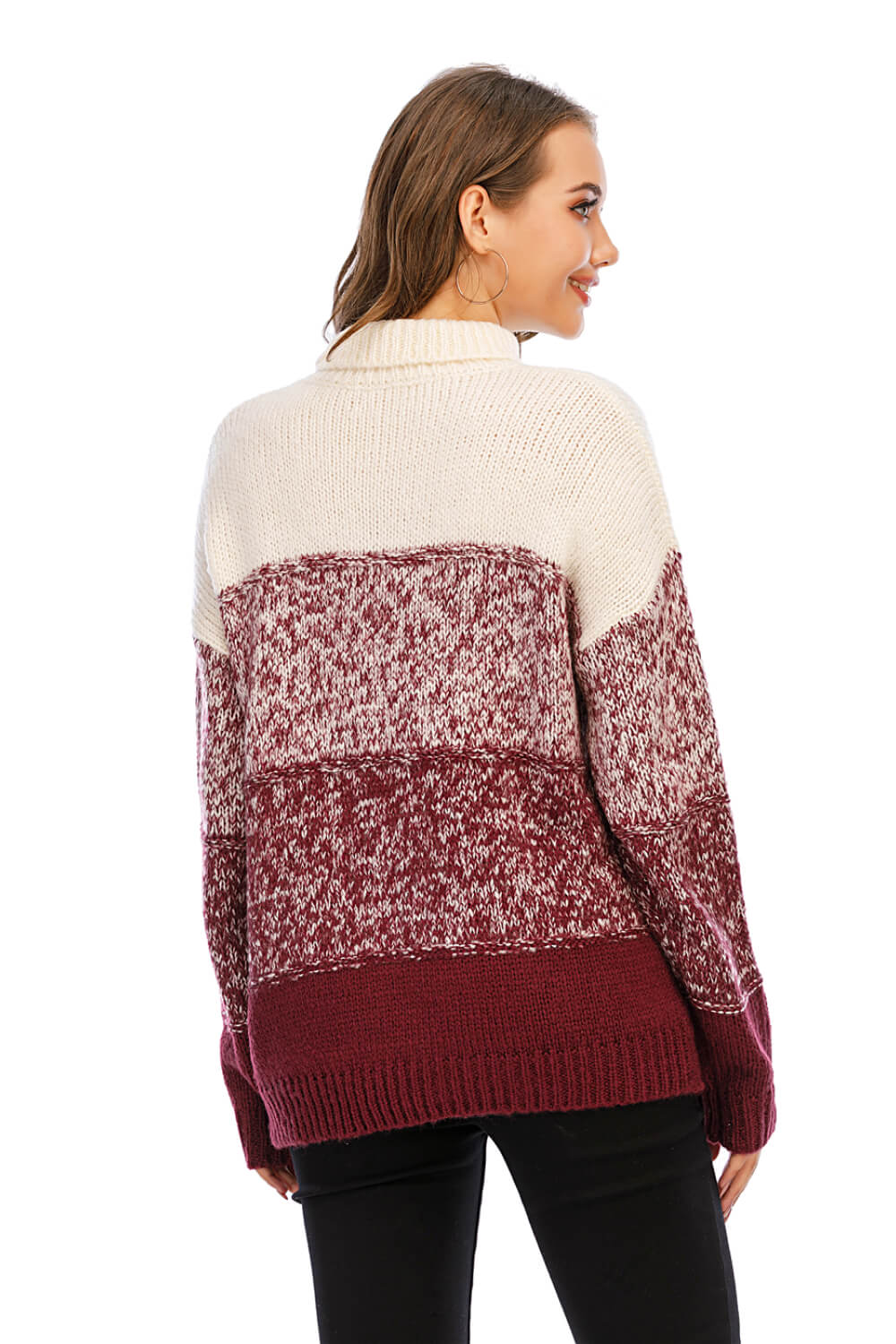 Color Block Turtleneck Knit Pullover
