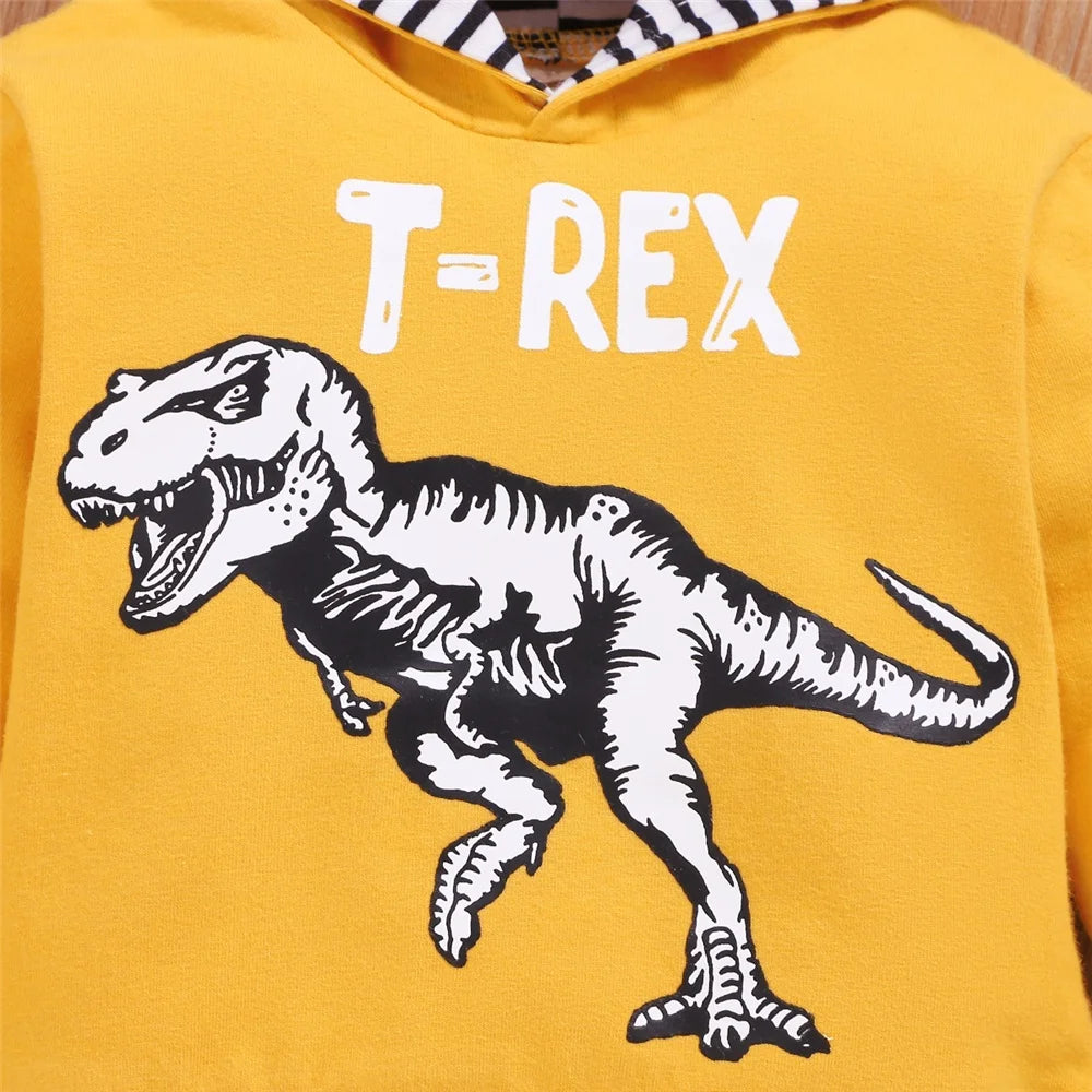 Dinosaur Printed Hooded Long Sleeved Top+Pants Toddler Boy Casual Outfit -Newborn Baby Boy Autumn&Winter Clothes Set