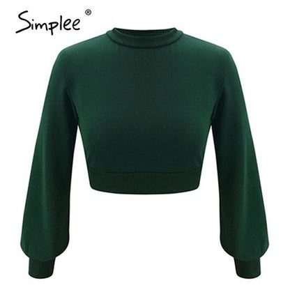 Trending Gorgeous High Waist Lantern Sleeve Womens Sweater Autumn Winter Casual Pullover Tb8c