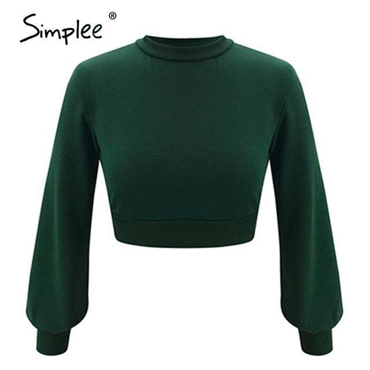 Trending Gorgeous High Waist Lantern Sleeve Womens Sweater Autumn Winter Casual Pullover Tb8c