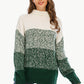 Color Block Turtleneck Knit Pullover