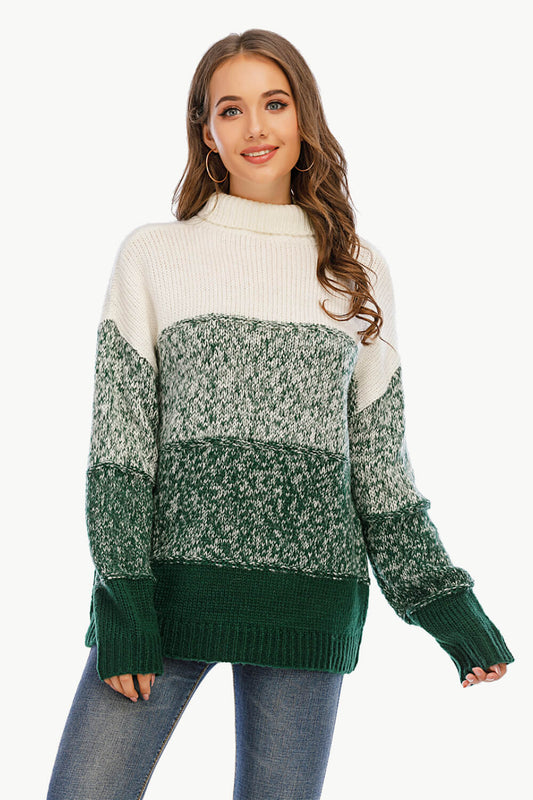 Color Block Turtleneck Knit Pullover