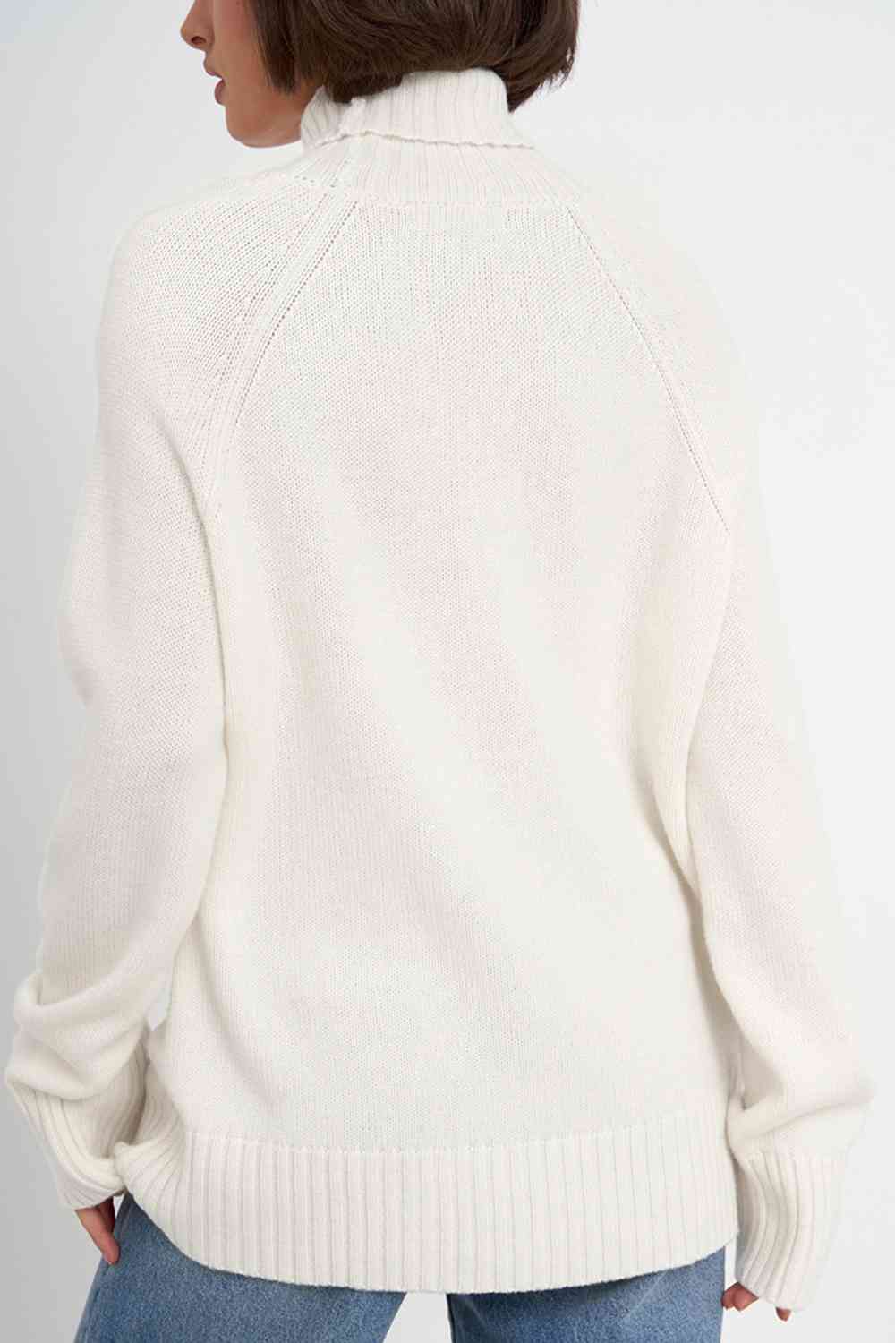 Turtle Neck Raglan Sleeve Sweater - Deals DejaVu