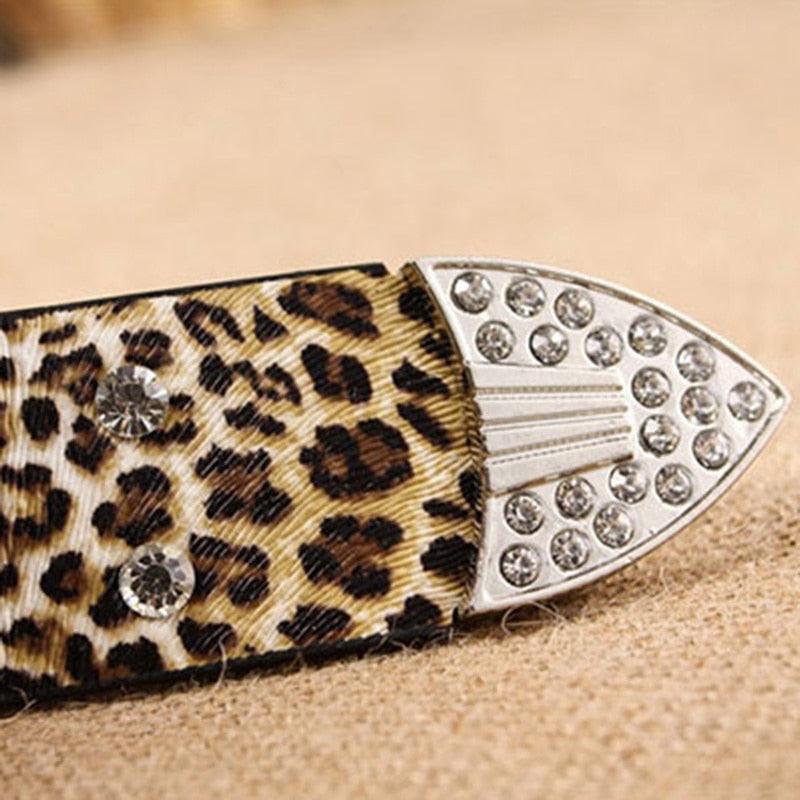 Gorgeous Women's Belt - Leopard Pattern Leather Studded Belt (D44)(4WH1)