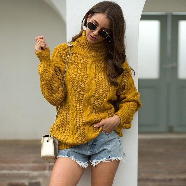 Gorgeous Trending Autumn & Winter New knit Women's Sweater - Turtleneck Sweaters Pullover Oversized Thick Sweater (TB8C)(BCD2)