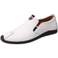 Fashion Men's Shoes - Classic Luxury Men Leather Shoes - Comfortable Casual Shoes (MSC2)(F12)