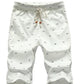 Summer Shorts - Men Fashion Breathable Casual Shorts (TG3)