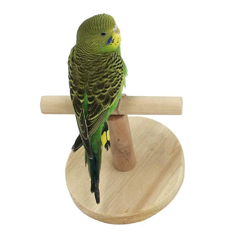 2Pcs Parrot Stand Toys - Bird Wooden Tabletop Perch Training Exercise Feet Claw Grinding Bite Chew Toy (7W4)(8W4)(F76)