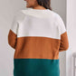 Plus Size Color Block Long Sleeve Sweater