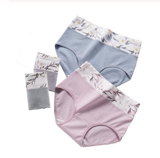 Cute 4Pcs/lot Women's Panties - Sexy Breathable Comfortable Cotton Underwear (TSP2)(F28)