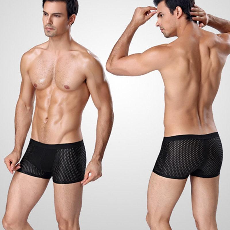 Great 4pcs/Lot Men's Boxers Underpants - Shorts Mesh Sexy Silk Large Size L-7XL (D9)(TG6)
