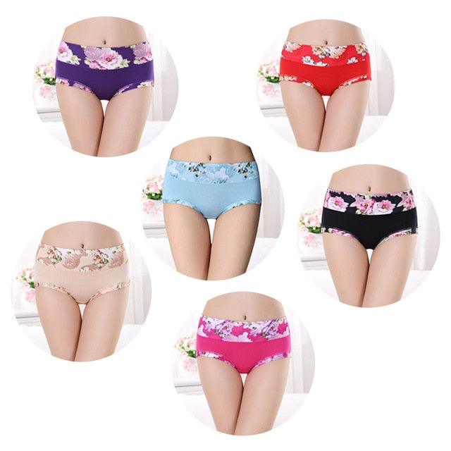 Trending 6pcs/lot Women's Underwear - Sexy Cotton Girls Briefs Printed Intimate - Plus Size Underwear (D28)(TSP2)