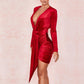 New Autumn Celebrity Evening Party Dress - Women'S Sexy Long Sleeve V Neck Mini Club Dress (D30)(BWD)(WSO4)(BCD1)