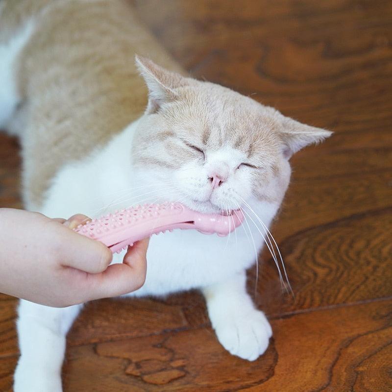 Cute Pet Cats Chew Bite Toys - Cat Foot Shape Cleaning Teeth Toys - Toothbrush Relieve Anxiety Pet Supplies (8W3)(F75)
