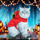 Cat Clothes Halloween Cute Red Strawberry Pet Transform Clothes Cats Winter Jacket (2U75)