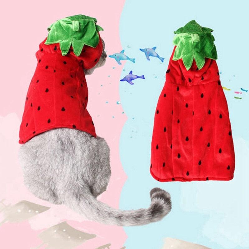 Cat Clothes Halloween Cute Red Strawberry Pet Transform Clothes Cats Winter Jacket (2U75)