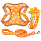 Custom Nylon Dog Collar Harness Leash Set - Personalized Nameplate ID Tag Collars Adjustable (3W1)(2W1)(1W1)(F70)