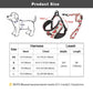 Cute Adjustable Dog Harness Leash Set - Reflective Mesh Puppy Vest Nylon Pet Walking Leash Lead For Small Medium Dogs (2W1)(3W1)