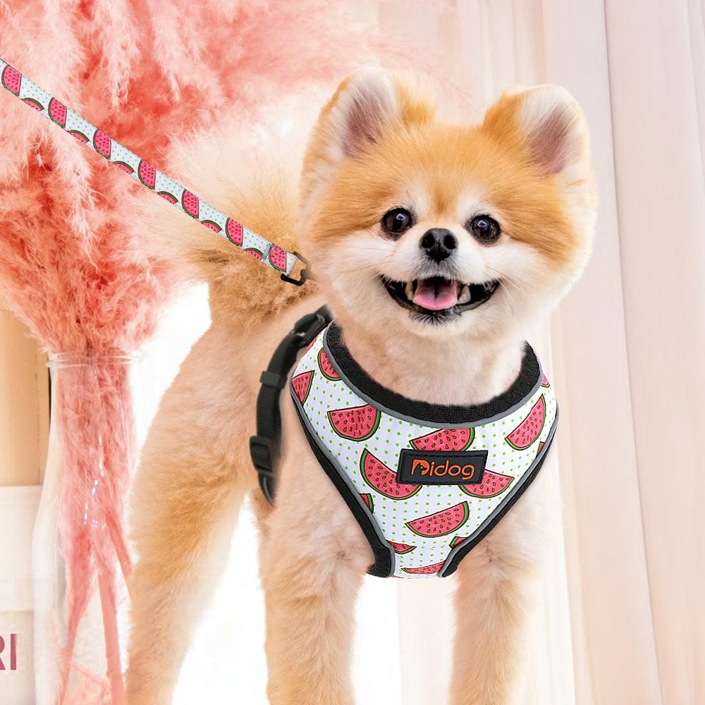 Cute Adjustable Dog Harness Leash Set - Reflective Mesh Puppy Vest Nylon Pet Walking Leash Lead For Small Medium Dogs (2W1)(3W1)
