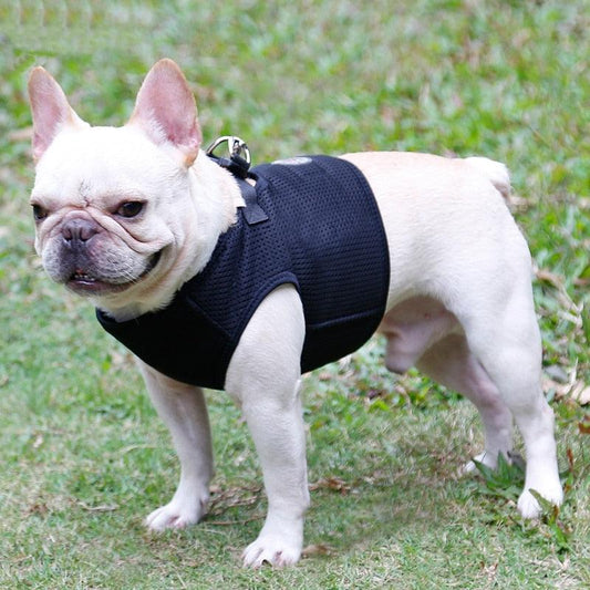 Dog Breathable Mesh Harness And Leash Set - Light Weight Adjustable Pet Dog Harness Vest (2U70)