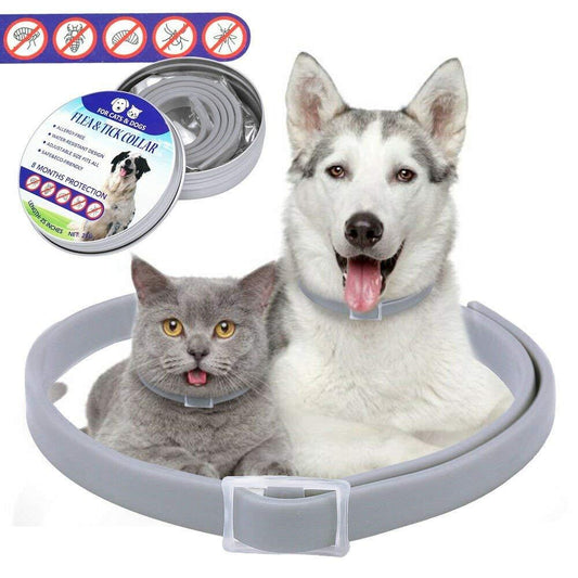 Dog Mosquito Repellent Collar - New Flea And Tick Collar For Cat Dogs Pets (1U75)(1U70)