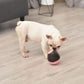Dog Puzzle Toys Increase IQ Interactive Dog Toy - Tumbler Leakage Food Dispenser Pet - Dog Training Games (1U73)
