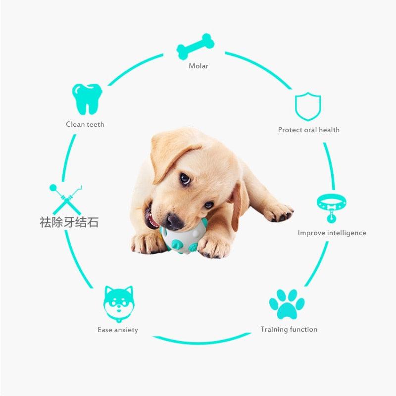 Dog Toy - Pet Toy Tooth Cleaning Ball Bite Resistant Molar Dog Toothbrush - Interactive Training Dog Toy (2U73)