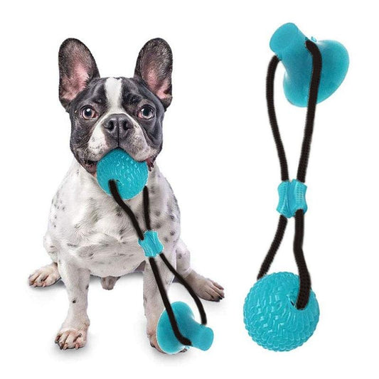 Flexible Pet Molar Bite Toy Suction Cup Dog Toy With Ball Teeth Cleaning - Elastic Rubber Chew Ball Dog Interactive Toys (6W2)(2W3)(F73)